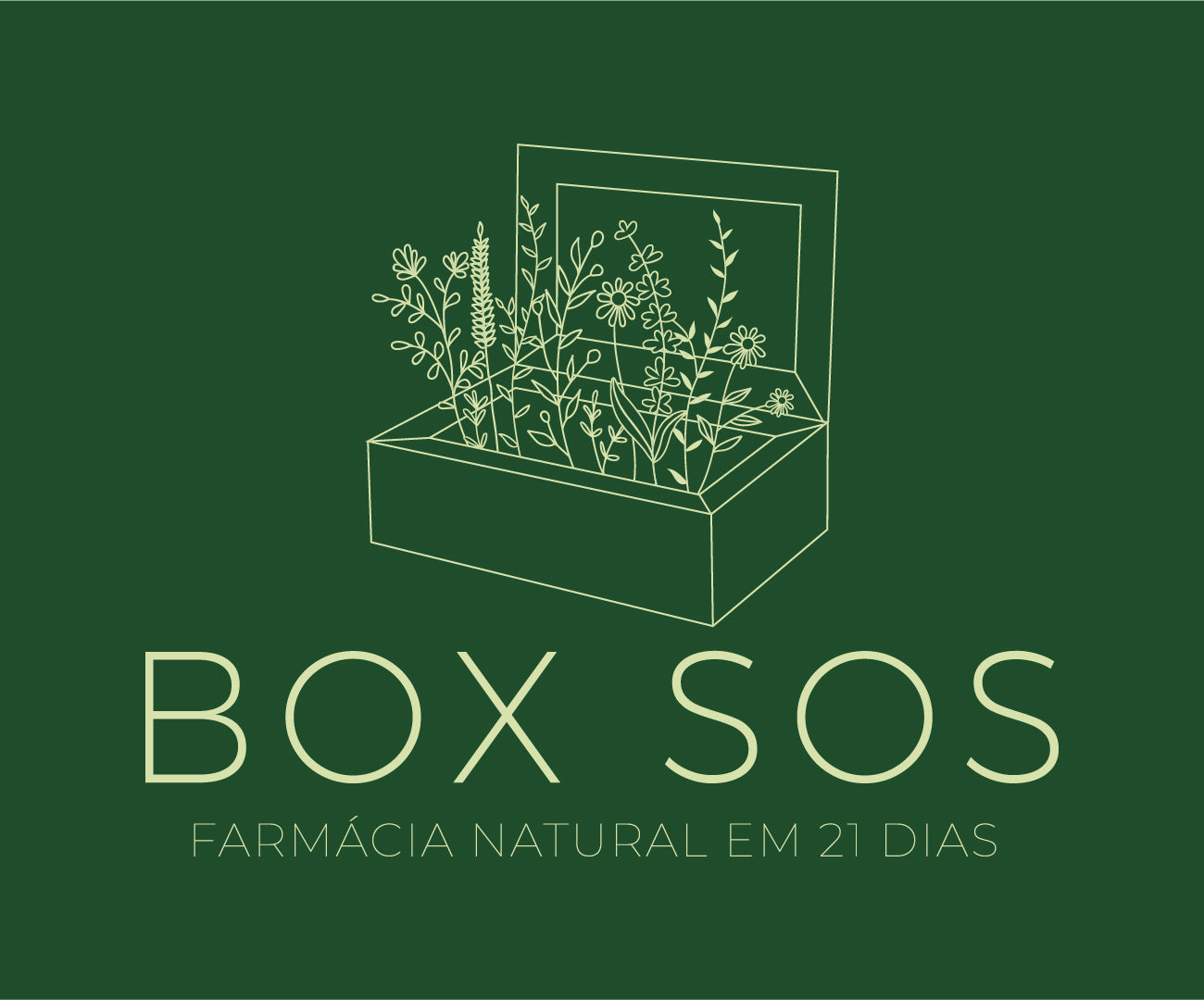 BOX SOS: Farmácia natural em 21 dias
